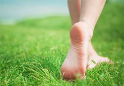 ������� �� ������