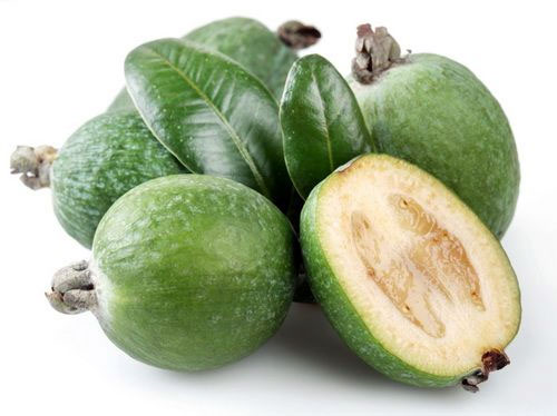 (Feijoa sellowiana Berg)